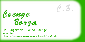 csenge borza business card